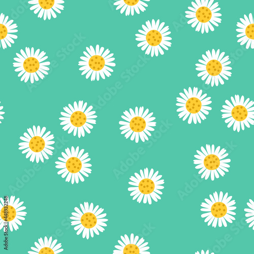 Daisy flower seamless pattern on green background. Chamomile design. Vector illustration © Xenia800