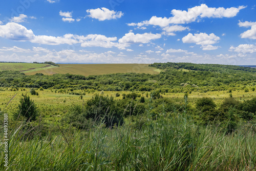 A rural landscape with green fields and sparse woodlands under a blue sky with white cumulus clouds in the countryside. Beautiful summer landscape with fields and green woodlands.