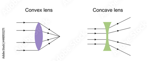 Vector illustration of convex and concave which converge and diverge lights, respectively. photo