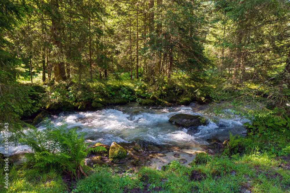 a strong flow in a mountain creek with melting water from the alps in summer a strong flow in a mountain creek with melting water from the alps in summer