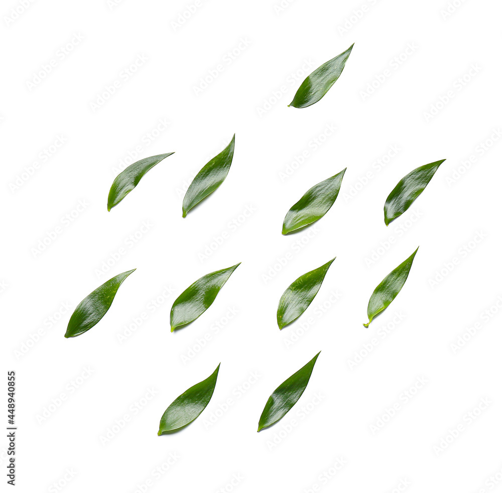 Fototapeta premium Green tea leaves on white background