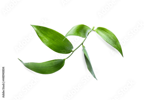 Fototapeta Naklejka Na Ścianę i Meble -  Green tea leaves on white background