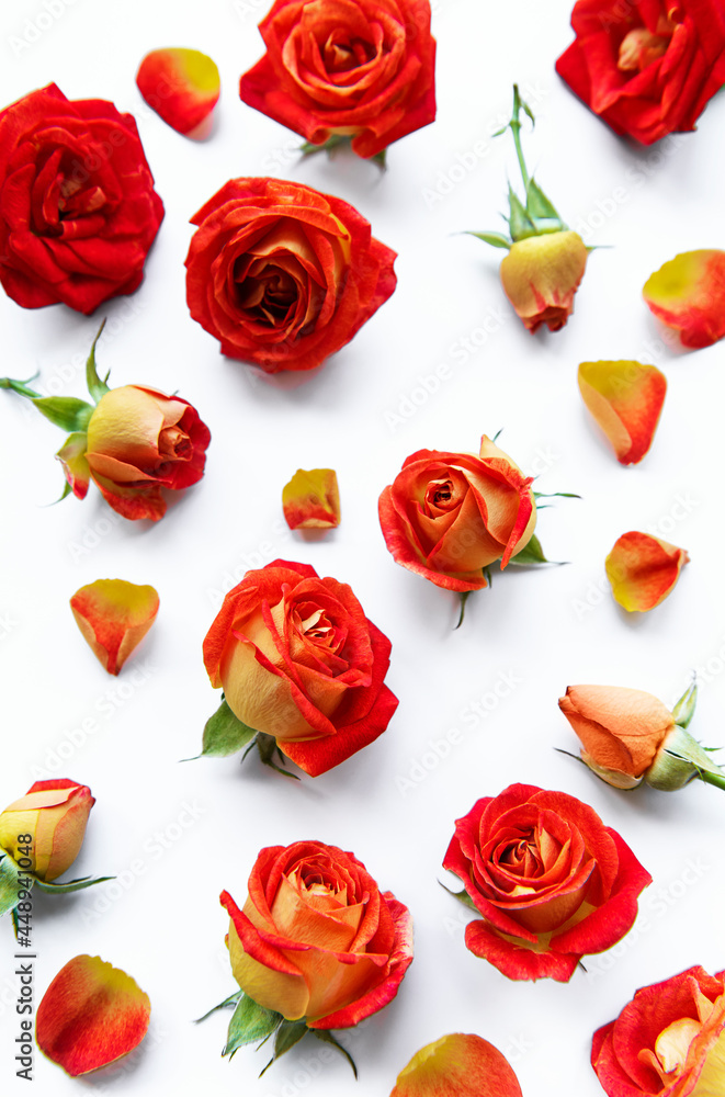 Flowers composition. Frame made of red roses and leaves on white background Flowers composition. Frame made of red roses and leaves on white background