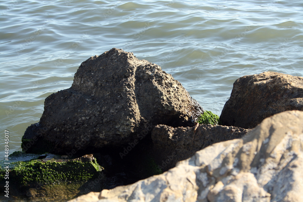 Stones on the Black Sea coast. A natural beach. Stones on the Black Sea coast. A natural beach.