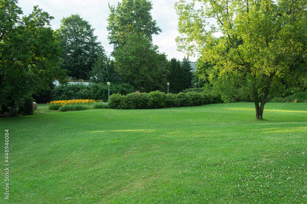 Beautiful park landscape with lawn and trees Beautiful park landscape with lawn and trees