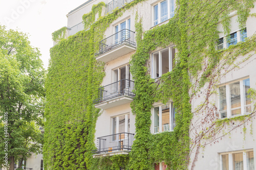 The multi-storey building is covered with wild grapes