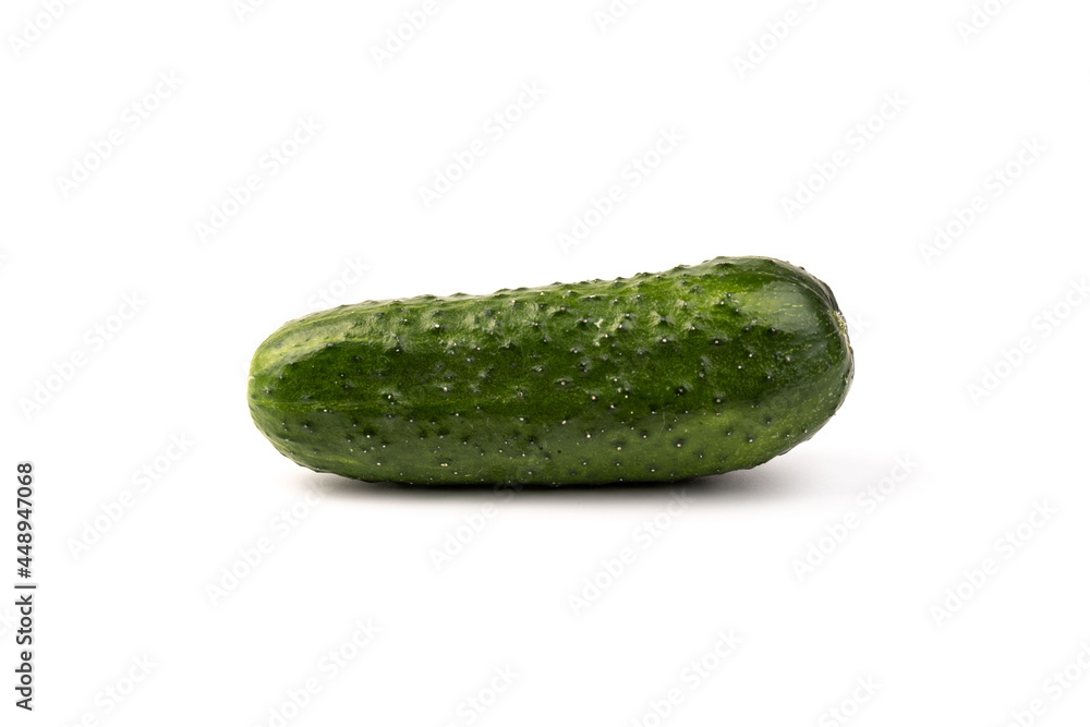 cucumber vegetable isolated on white background cucumber vegetable isolated on white background