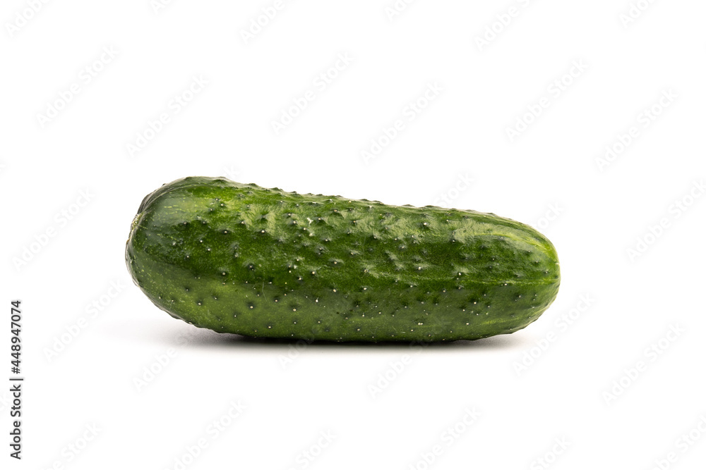 cucumber vegetable isolated on white background cucumber vegetable isolated on white background