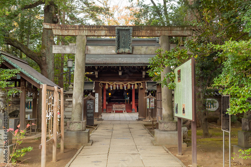 empty stone torii gate in autumn akasaka hikawa shrine, tokyo, japan
