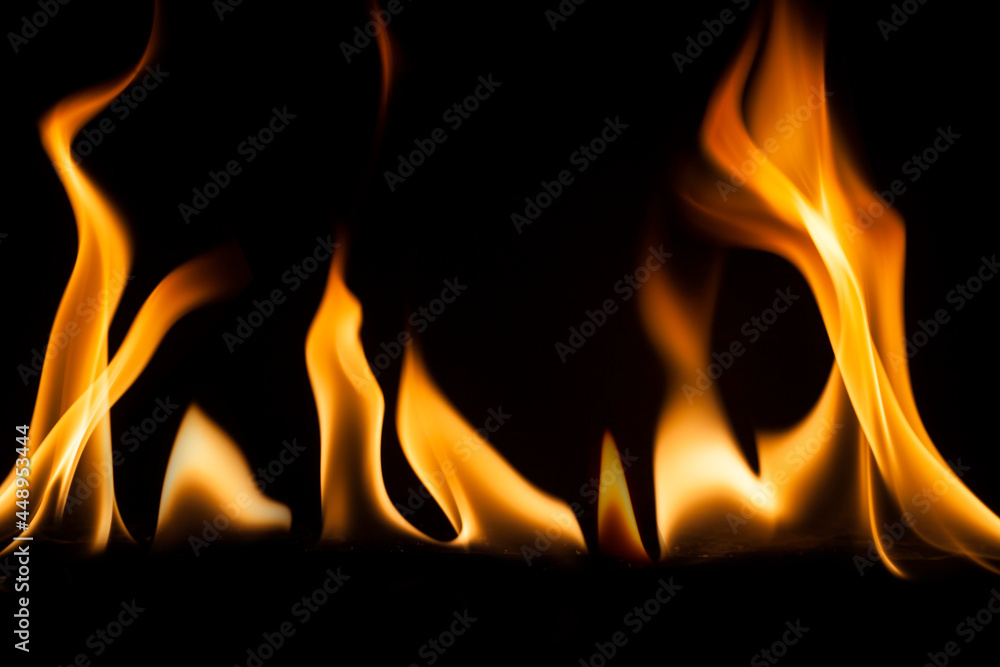 Fire flames on black background. Fire flames on black background.
