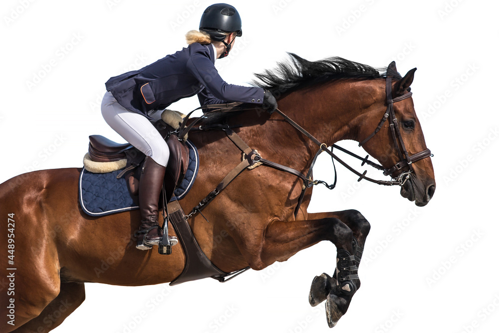 Horse Jumping, Equestrian Sports, Show Jumping themed photo isolated on white background - obrazy, fototapety, plakaty 