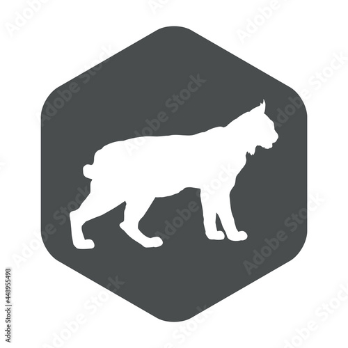 Canvas Print Silueta de lince en hexágono de color gris