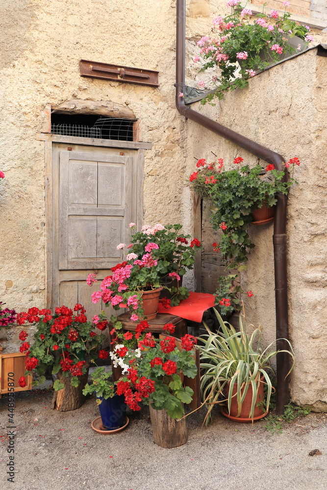 Naklejka premium Rural Village Street View with Old Wooden Door and Stone Wall and Colorful Potted Flowers in Central Italy