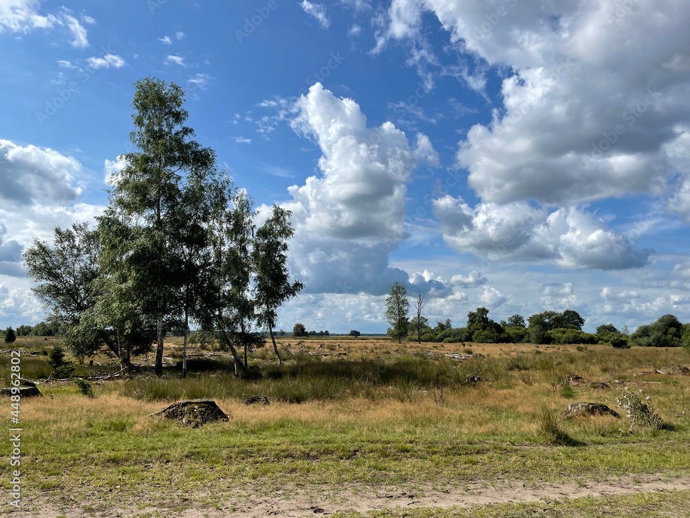 Landscape of National Park Dwingelderveld
