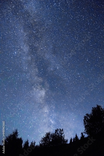 starry night sky over trees