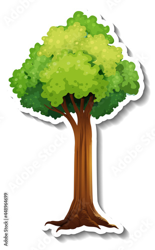 A tree with green leaves sticker on white background