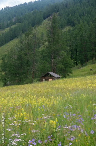 A small unfinished house on the mountainside