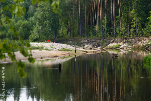 River in the forest