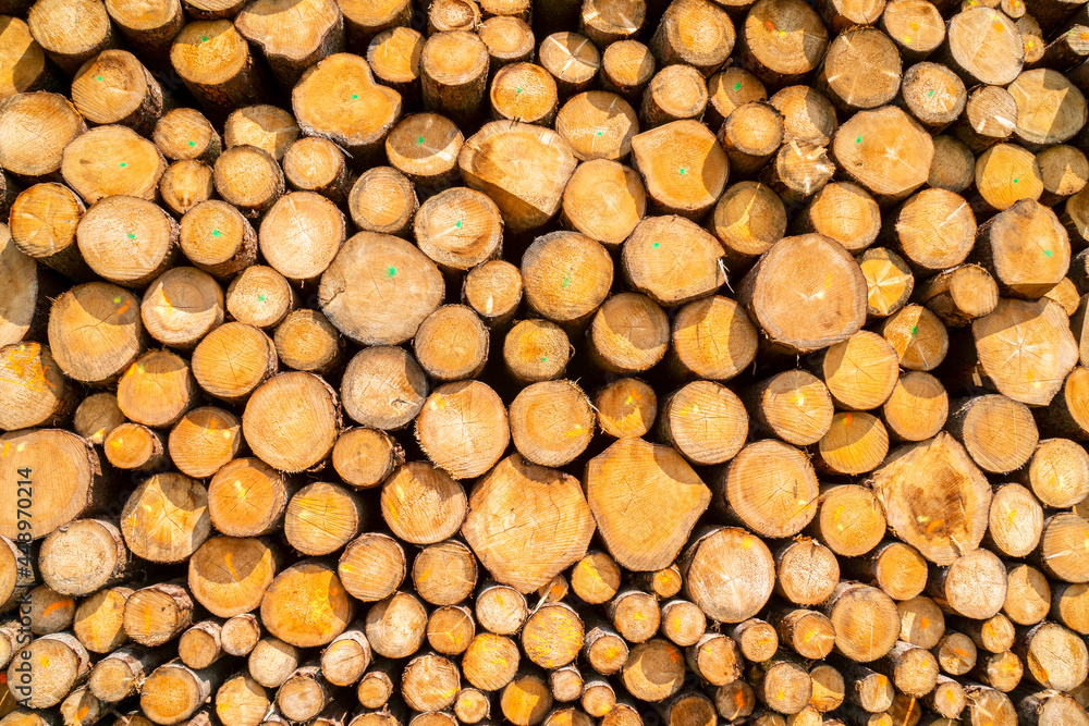 Storage place for wood logs Storage place for wood logs