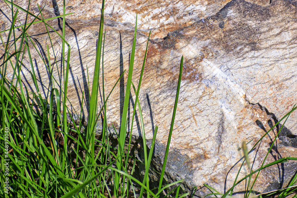 A fragment of a large stone in the forest grass on a summer day A fragment of a large stone in the forest grass on a summer day