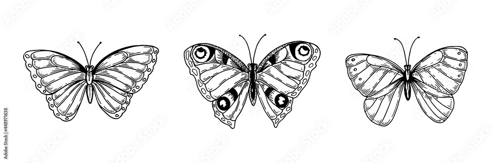 Set of hand drawn butterflies isolated of white. Vector illustration in sketch style Set of hand drawn butterflies isolated of white. Vector illustration in sketch style