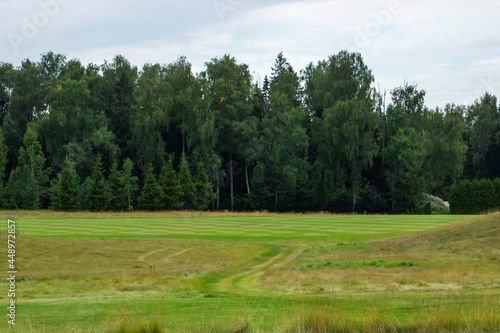 Fototapeta Naklejka Na Ścianę i Meble -  A large green field with trees in the background