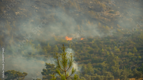 Фотография Turkey strives to put out wildfires