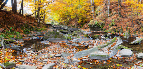 Fototapeta Naklejka Na Ścianę i Meble -  The waters of the Nasiczne stream, the bieszczady mountains