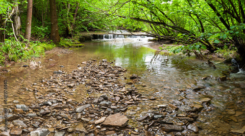 Fototapeta Naklejka Na Ścianę i Meble -  Waters of the Wołkowyjka stream, the Bieszczady Mountains