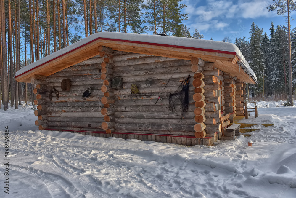log cabin in a pine forest in winter log cabin in a pine forest in winter