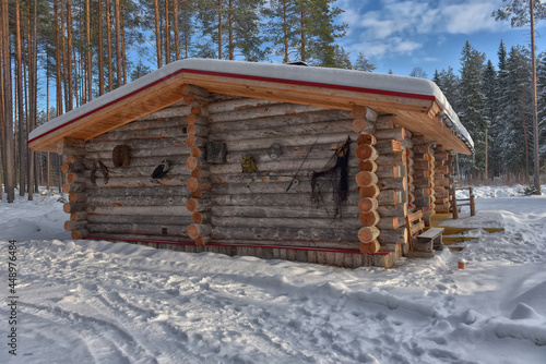 log cabin in a pine forest in winter © Evdoha