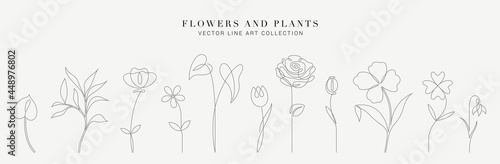 Botanical arts. Hand drawn continuous line drawing of abstract flower, floral, ginkgo, rose, tulip, bouquet of olives. Vector illustration