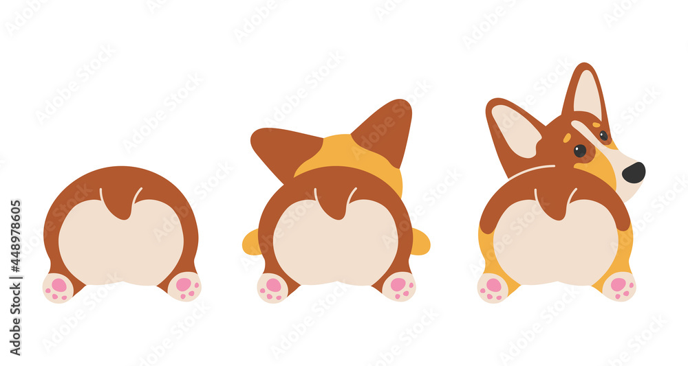 Cute brown dog, Welsh Corgi Pembroke, back view. Corgis heart butt isolated on white background. Vector illustration for postcard, banner, web, decor, design, arts, calendar. Cute brown dog, Welsh Corgi Pembroke, back view. Corgis heart butt isolated on white background. Vector illustration for postcard, banner, web, decor, design, arts, calendar.