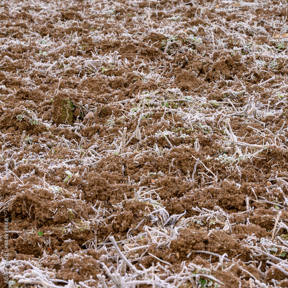 The soil is covered with spring frost, the ground wakes up after winter, cracked soil and spring mornings. The soil is covered with spring frost, the ground wakes up after winter, cracked soil and spring mornings.