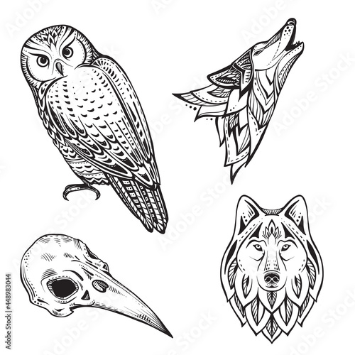 Set of vector illustrations of black and white animals and bird skull isolated on white background. photo