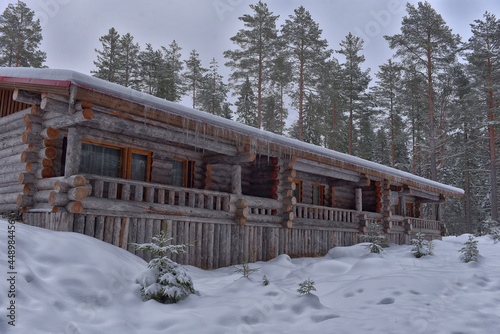 log cabin in a pine forest in winter © Evdoha