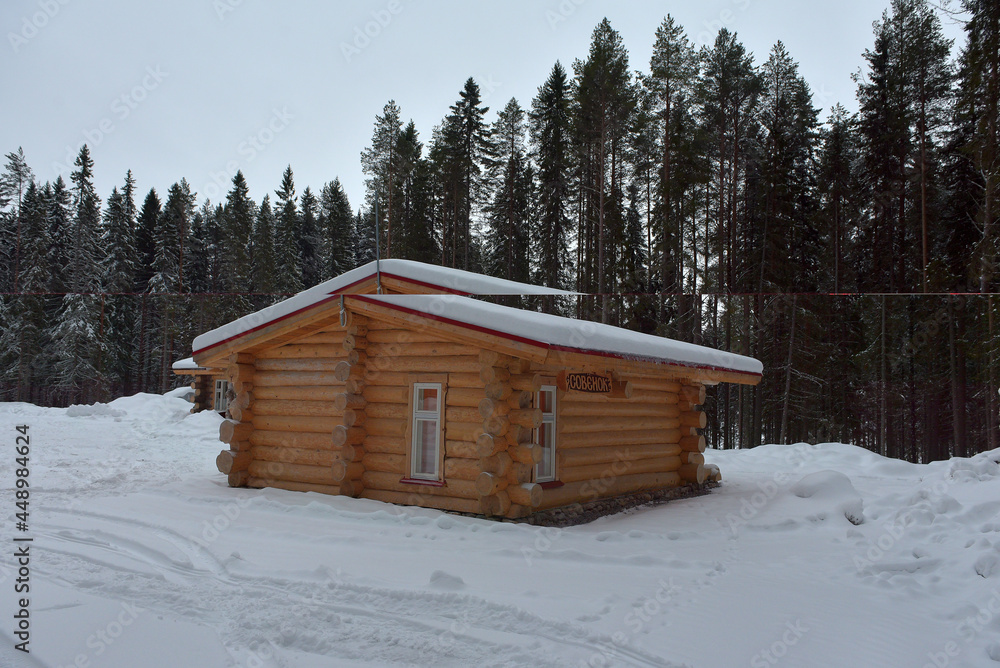 log cabin in a pine forest in winter log cabin in a pine forest in winter