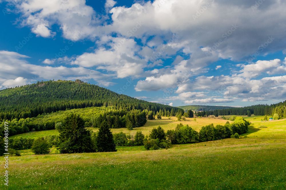 Naklejka premium Sommerspaziergang durch die schöne Natur des Thüringer Waldes