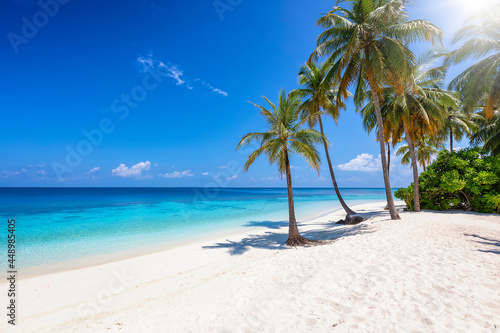 Tropical paradise beach with coconut palm trees, turquoise ocean and deep, blue sky and no people