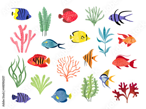 Tropical fish and seaweeds isolated on white. Big vector aquarium set of watercolor different fish and decorations.