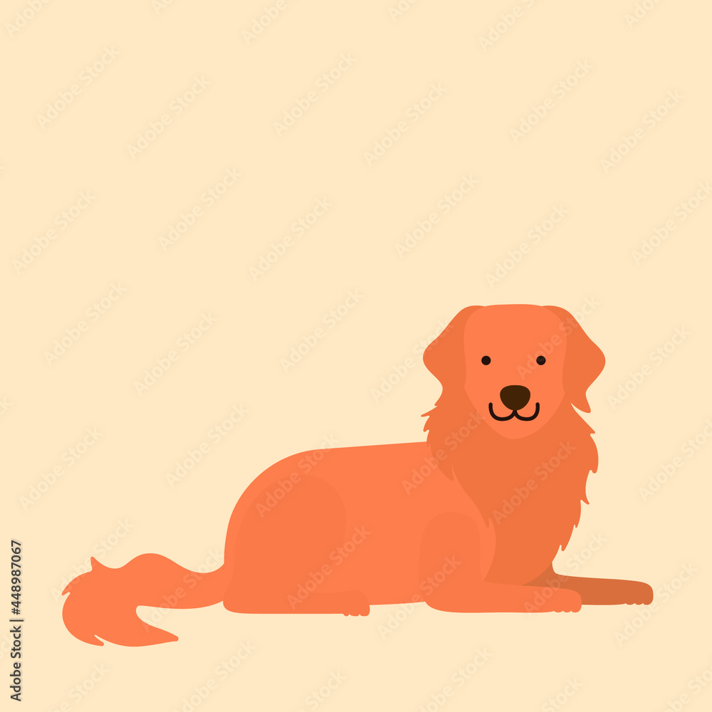 Golden retriever dog puppy, pet animal flat vector isolated design concept Golden retriever dog puppy, pet animal flat vector isolated design concept
