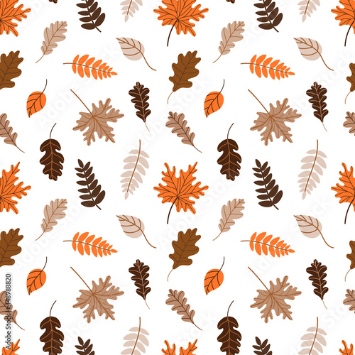  pattern with fallen leaves on a white background