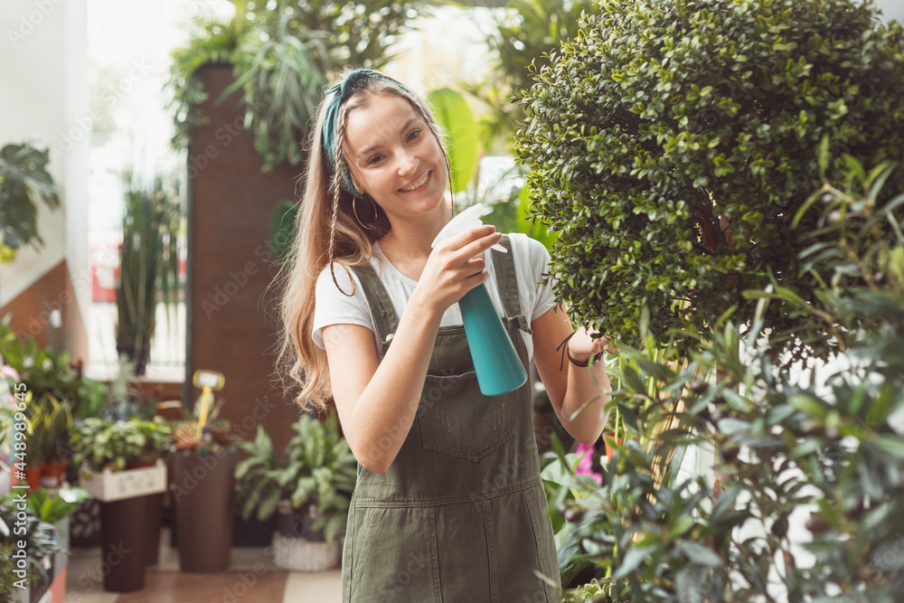 Young female gardener in spraying myrtle tree houseplant in flower store or greenhouse Young female gardener in spraying myrtle tree houseplant in flower store or greenhouse