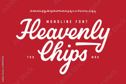 Heavenly Chips. Original Monoline Script Font. Vector Illustration.
