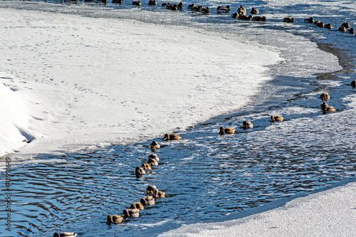 Man water wakeboarding skiing at sunset.