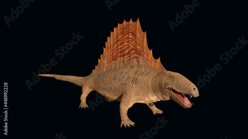 Dimetrodon (Early Permian) © anibal