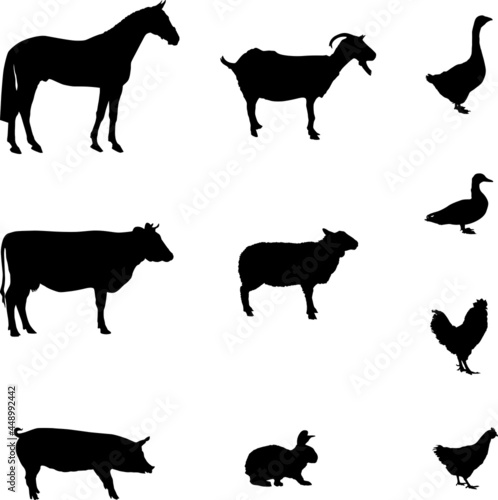 Silhouettes of farm animals on a farm. Horse, cow, pig, sheep, goat, chicken, Rooster, rabbit, duck, goose. Black silhouettes of animals isolated on a white background. Vector icons of livestock.