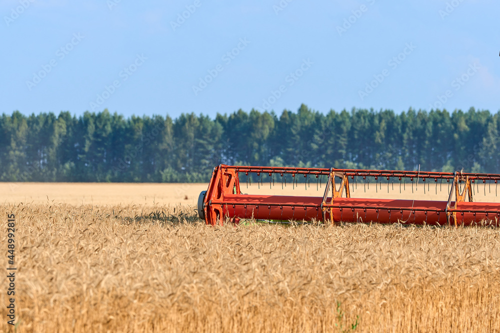 Fototapeta premium Harvesting on a sunny summer day. The combine harvester goes through the field cutting off ears of wheat. Reaper close-up. The concept of agriculture and farming