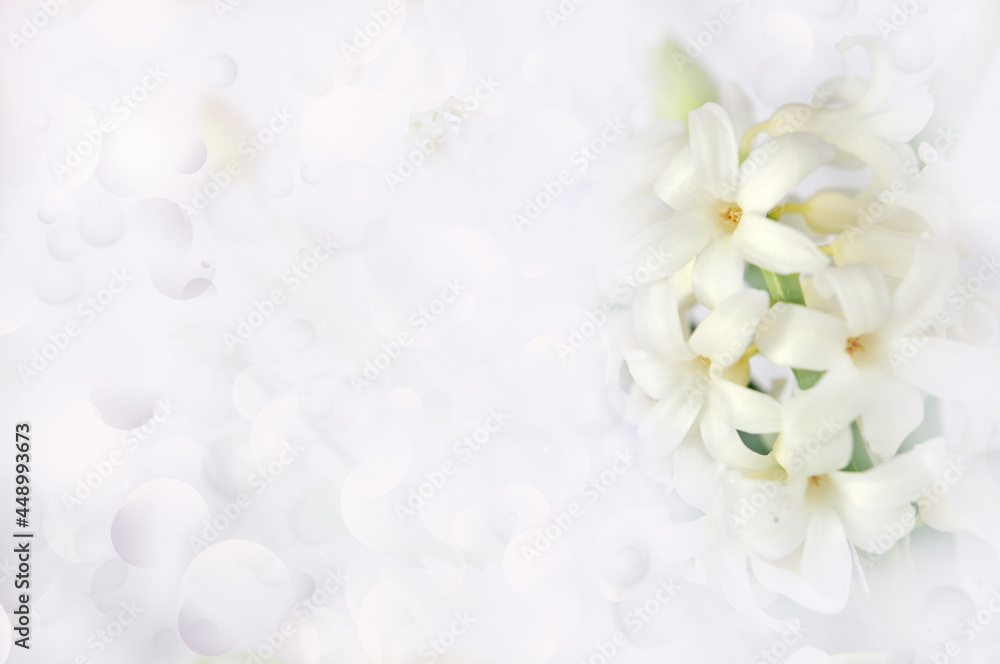 Greeting card with Spring white flowers, light gray blurred background and free space for your text