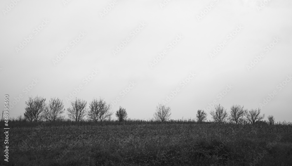 Autumn landscape, land, black and white, horizon line Autumn landscape, land, black and white, horizon line